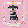 「Dog salon mofu mofu　余市町」