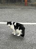 街のネタは足をつかうべし！「先輩記者からの指導！」