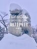 「Tuesday, 4th February 2025.」