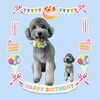 「Dog salon mofu mofu　余市町」