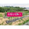 「酵素野菜Instagram開設いたしました✨️【福島市鎌田にある酵素浴･痩身エステ】」