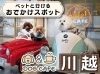店内フォトスポット「ペットと行ける！おでかけスポット【川越市　ドッグカフェ　able! CAFE】」