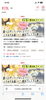 街コン「2月6日14時OPEN」