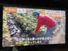 大寒波、週末まで続きそうです…☃️「☆カラフル野菜の小山農園、TBS『Nスタ』、『THE TIME』無事にオンエア📺☆」