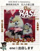 「DOG BASE浜松に出店します🐶❣️」