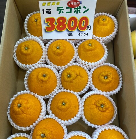 デコポン🍊「今が旬のデコポン🍊入荷いたしました😄✨✨」