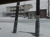 雪ですね～「雪ですね～」
