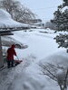 除雪頑張ってます「臨時休業のお知らせ」