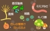 土の中には色々な菌や微生物が生活しています。「「土壌菌(どじょうきん)」ってしってますか? 一体何なのでしょうか?」