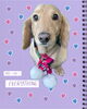 「Dog salon mofu mofu　余市町」