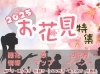 お花見特集公開中「2025お花見特集公開中＼桜開花情報・お花見スポット・イベント情報／【川越市、鶴ヶ島市、坂戸市、ふじみ野市、富士見市、川島町】」