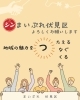 まいぷれ伏見区地域の魅力！！「ならちゃんが行く」