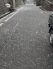 今日は雪でした❄️「まさかの雪…☃️…」