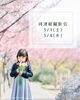 「河津桜撮影会のお知らせ【江戸川区でこども・ファミリーの出張撮影をしています】」