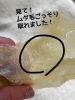 「やめられない⁈マツヤニパック」