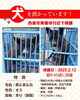 「迷い犬を保護しています【西条市 実報寺 付近】」