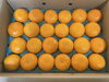 香川県産　せとか🍊「香川県産　せとかのご紹介です🍊✨✨」