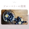 ブルーベリーの効果「ブルーベリーで目の健康をサポート♪　～快適な視生活をあなたに～」