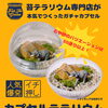 兵庫初！ガチャガチャカプセル苔テラリウムキット発売！