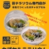 兵庫初！ガチャガチャカプセル苔テラリウムキット発売！