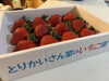 とりかいさん家のいちご「🍓とりかいさん家のいちご🍓」