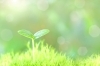 自分らしく生きるヒント　大人の学校「【自分らしく生きるヒント　大人の学校】自分の感覚に素直に生きる　/（株）トゥー・トゥー　」