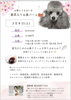 ご参加お待ちしています「わんこのお鼻乾いていませんか？」