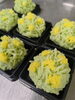 「菜の花　上生菓子」