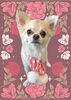 「Dog salon mofu mofu　余市町」