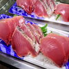 一本釣りカツオお刺身「2月17日販売商品」