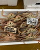 「ホームページはこちら🔗iwafunegyokou.com」