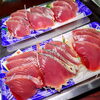 一本釣りカツオお刺身「2月17日の海鮮」