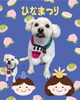 「Dog salon mofu mofu　余市町」