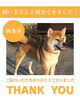 「【無事再会！】西条市三津屋付近でいなくなった犬は無事飼い主さんと再会できました！」