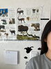 骨盤矯正前「背が伸びます【骨盤矯正・整体・横浜】」
