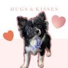 「Dog salon mofu mofu　余市町」