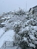 雪の日「新コースのご紹介です☆」