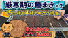 「【夏野菜ならではの違いが!】厳寒期のタネまき　第二弾の内容は、カボチャの発芽試験で興味深い結果が見えました… たねのハシモトミヤ」