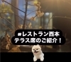 テラス席のご案内です🐶「【レストラン西本のテラス席について】　レストラン西本🍽️」
