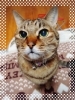 こう見えて14歳(人間で70後半)💦まだまだ元気「【連休も！】土日・祝日も営業☆首肩腰の痛みをスッキリさせませんか？」