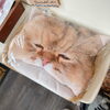 猫ちゃんティッシュカバー。ポーチやハンカチなども♪「【2/22は】猫の日 開店中です【千歳市雑貨屋】」