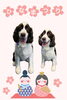 「Dog salon mofu mofu　余市町」