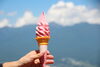 パノラマ名物ルバーブソフトクリーム「ホットな体にアイスなソフトクリーム」