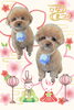 「Dog salon mofu mofu　余市町」