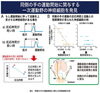 東京都医学総合研究所プレスリリース「一次運動野が同じ側の手の運動開始に関与することを発見」