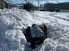 「かまくら作りにチャレンジ⛄️【札幌市北区児童デイサービスこぱんはうすさくら札幌太平教室】」