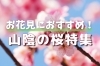 島根・鳥取の花見におすすめな桜スポット特集「そろそろ桜の時期ですね🌸」