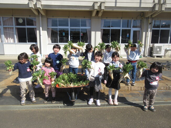 大根の大・収・穫~♪「2月の後半も楽しい行事と楽しい毎日! 」