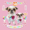 「Dog salon mofu mofu　余市町」