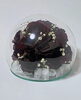 「108本のバラからボトルフラワーをお作りしました♡【宮崎/プロポーズ/ボトルフラワー/ドライフラワー/ドライフラワー加工/生花保存/花束保存】」